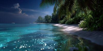Tranquil evening along a pristine shoreline amidst tropical palms and shimmering waters photo