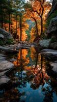 Autumn reflections in a tranquil river surrounded by colorful foliage in a remote forest photo