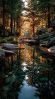 Vibrant autumn reflections in a serene forest stream at golden hour photo