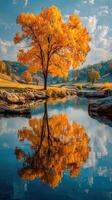 Vibrant autumn tree reflects in peaceful lake surrounded by colorful foliage and rocky landscape photo