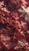 Beautifully detailed snowflakes illuminated by soft light, showcasing intricate patterns and textures during winter photo