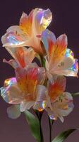 Colorful illuminated alstroemeria flowers in a dark background creating a vibrant visual contrast photo