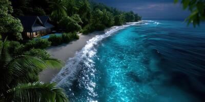 Serene beachfront oasis at night with shimmering water and lush palm trees in a tropical paradise photo