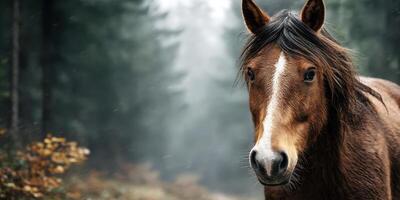Majestic brown horse standing in a misty forest during early morning light with soft trees in the background photo