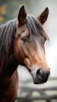 Close-up of a brown horse with a flowing mane in a serene rural setting during the early morning light photo
