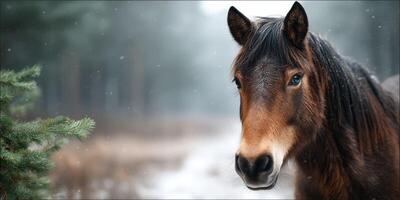 Majestic horse standing gracefully in a snowy forest setting during winter photo