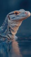 Lizard emerges from water showcasing vibrant colors and intricate textures in a serene natural habitat photo