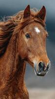 Majestic brown horse with flowing mane standing against dark backdrop in dynamic weather photo