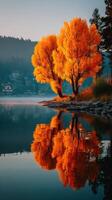 Vibrant autumn trees reflected in calm water near a scenic lakeside village at dawn photo