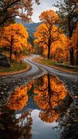 Curving road through autumn trees with vibrant orange foliage reflecting in a puddle photo