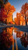 Vibrant autumn colors reflecting on a quiet road during sunset in a serene landscape photo