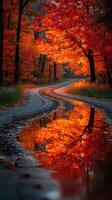 Vibrant autumn colors reflect in a winding road under a canopy of orange and red trees photo