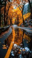 Autumn foliage reflects on winding road amidst vibrant colors in serene landscape photo