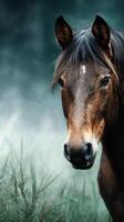 Majestic brown horse gazing through misty grass at dawn in a serene natural setting photo