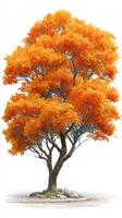Bright orange autumn tree stands alone on a rock amidst green grass in an open landscape during a clear day photo