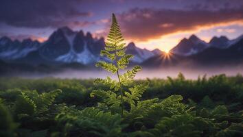 Fern in Field with Mountains and Sunset - Nature Landscape photo