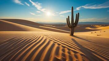 Cactus Standing Tall in Desert Landscape with Golden Sand Dunes photo