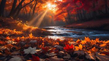 Flowing River Through Autumn Forest with Orange Foliage and Sunlight photo