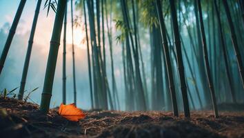 Bamboo Forest with Mist and Light Featuring a Fallen Leaf photo