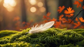Feather Resting on Moss in Forest with Autumn Leaves photo