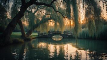 Serene Pond Landscape with Willow Tree and Stone Bridge at Sunset photo