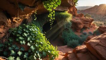 Entering a Vine Covered Cave in a Desert Canyon at Sunrise photo