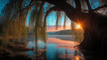 Willow Tree Overhanging Calm Lake Water with Sunset Reflection View photo