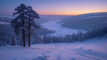 Snowy Hillside with Trees at Sunset Overlooking a Wintry Valley photo