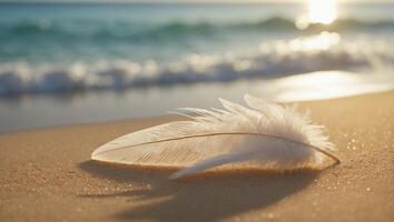 White Feather Resting on Sandy Beach with Ocean Waves in Background photo