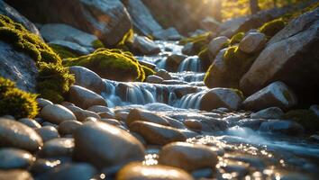 Flowing Stream Over Rocks with Moss in Sunlight Cascade photo