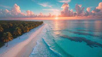 Tropical Beach Sunset with Palm Trees and Turquoise Ocean View photo
