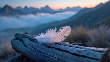 Delicate Feather Resting on Log with Mountain Landscape Background at Dusk photo