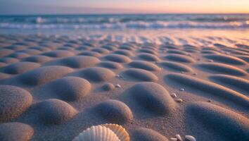 Seashore with Sand Ripples and Scattered Shells at Sunset Serenity photo