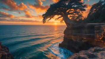 Seascape Sunset with Tree on Cliff and Ocean Waves Rolling photo