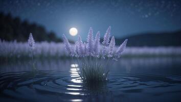 Lavender Blooms Rising From Water with Moonlit Night Landscape photo