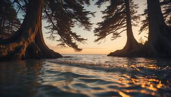 Ocean Waves Crashing Onto Shoreline at Sunset with Majestic Trees photo