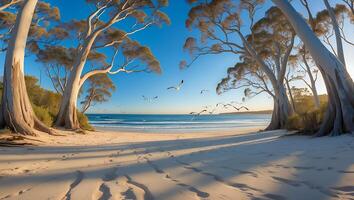 Walking on Sandy Beach with Tall Trees and Birds Flying photo