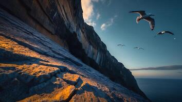Seagull Flying Above Cliff Face in Golden Light by the Ocean photo