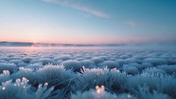 Icy Grass Field at Sunrise with Mist and Sky Reflections photo