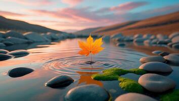 Orange Maple Leaf Floating on Calm Water at Sunset Reflection photo