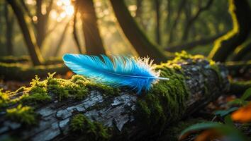 Blue Feather Rests on Mossy Log in a Peaceful Forest photo