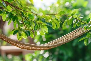 Relaxing rattan hammock in garden photo