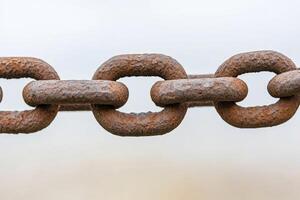 Rusted chain links against a soft background photo
