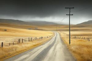 Empty country road winds through golden fields photo