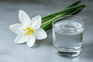 Delicate white flower beside a glass of water photo