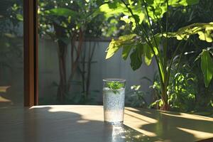 Refreshing drink in a glass, bathed in sunlight, amidst lush greenery photo