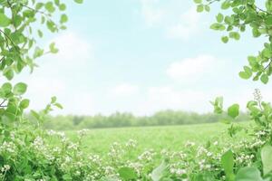 Springtime field framed by greenery photo
