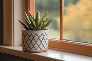 Succulent plant in a decorative pot on a windowsill photo