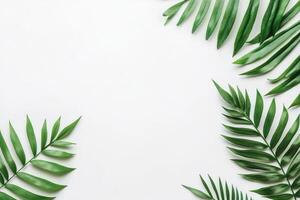 Fresh tropical leaves frame on a white background photo