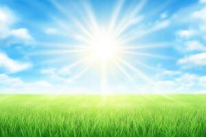 Bright Sunny Day in a Lush Meadow photo